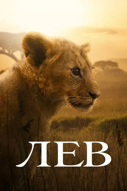 Лев / Lion