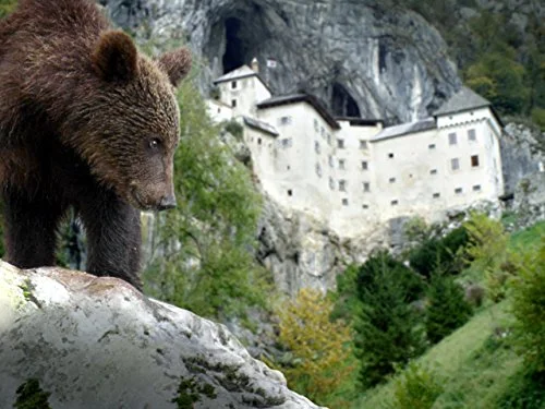 Сцена из фильма Замки дикой природы / Wild Castles Сцена из фильма Замки дикой природы / Wild Castles