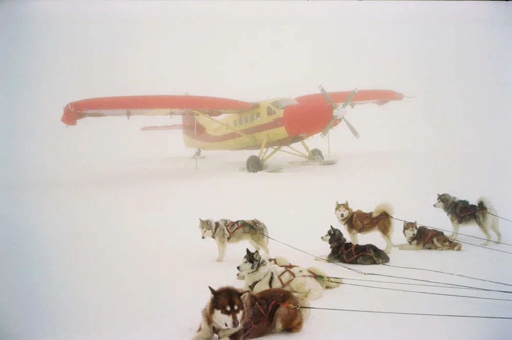 Кадр из фильма Белый плен / Eight Below Кадр из фильма Белый плен / Eight Below