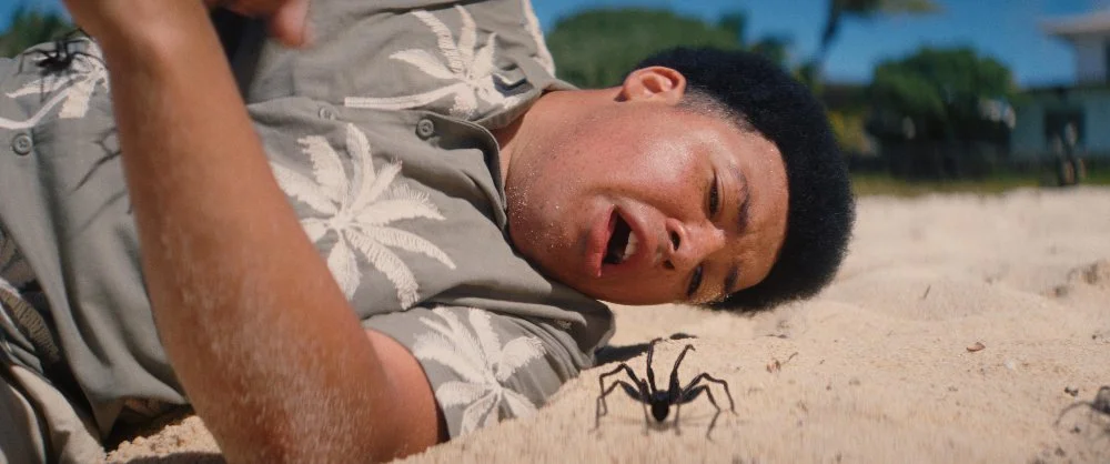 Кадр из фильма Остров пауков / Spider Island Кадр из фильма Остров пауков / Spider Island