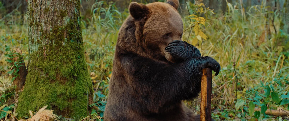 Увеличить изображение Кадр из фильма