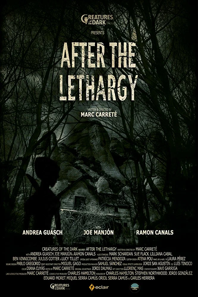 Постер к фильму После летаргического сна (Инопланетное вторжение) / After the Lethargy (Alien Invasion)