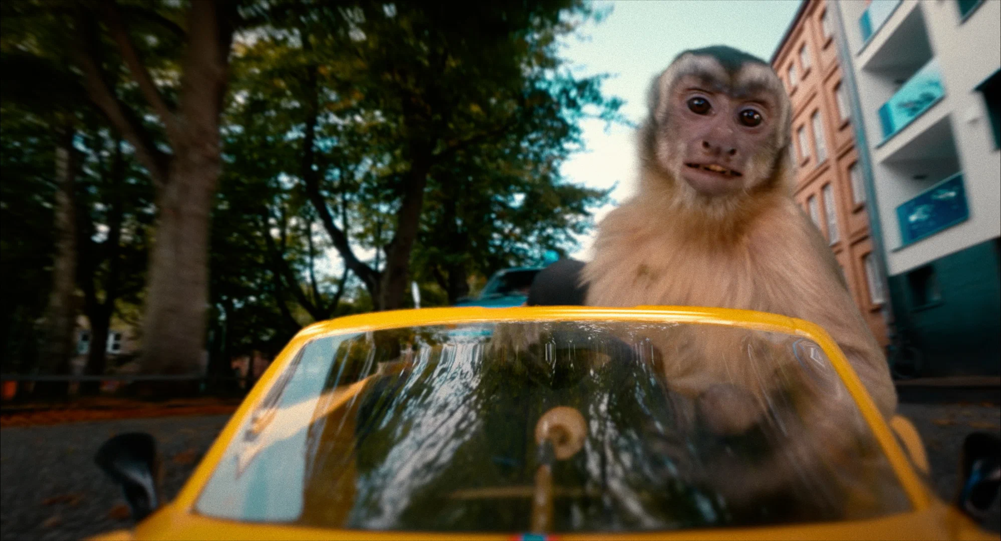 Увеличить изображение Кадр из фильма