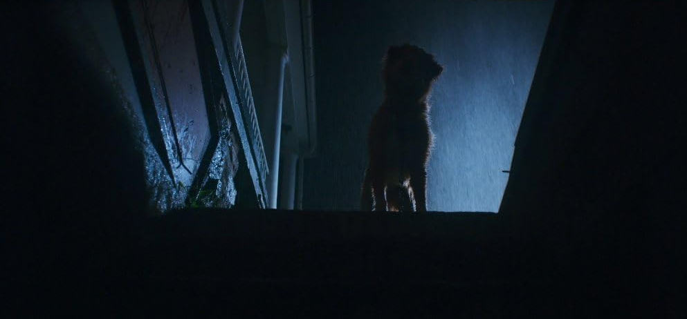 Увеличить изображение Кадр из фильма