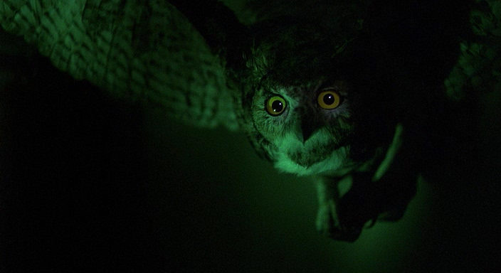 Сцена из фильма Психо 3 / Psycho III Сцена из фильма Психо 3 / Psycho III