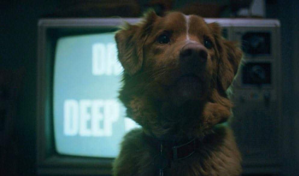 Увеличить изображение Кадр из фильма