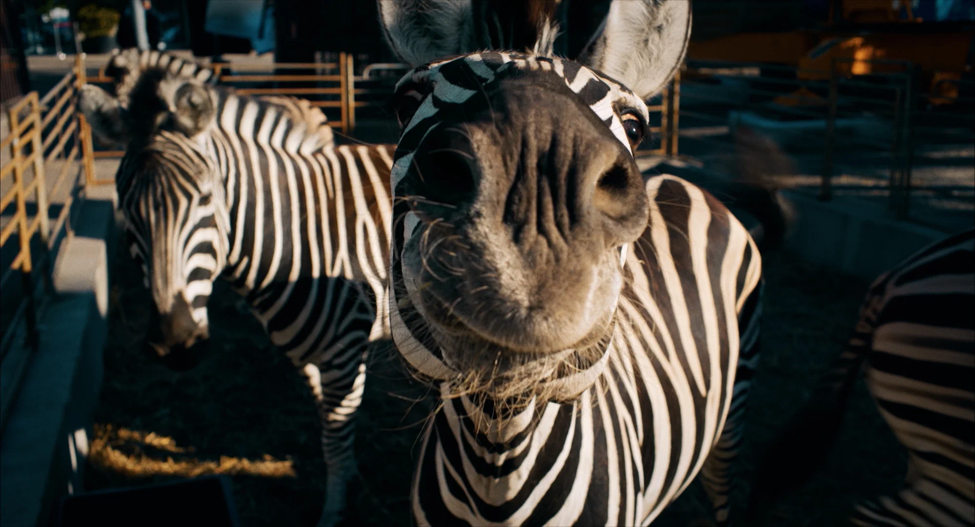 Увеличить изображение Кадр из фильма