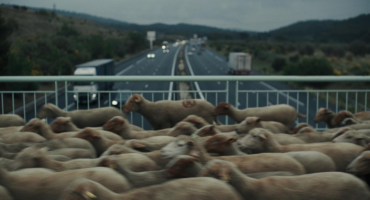 Увеличить изображение Кадр из фильма