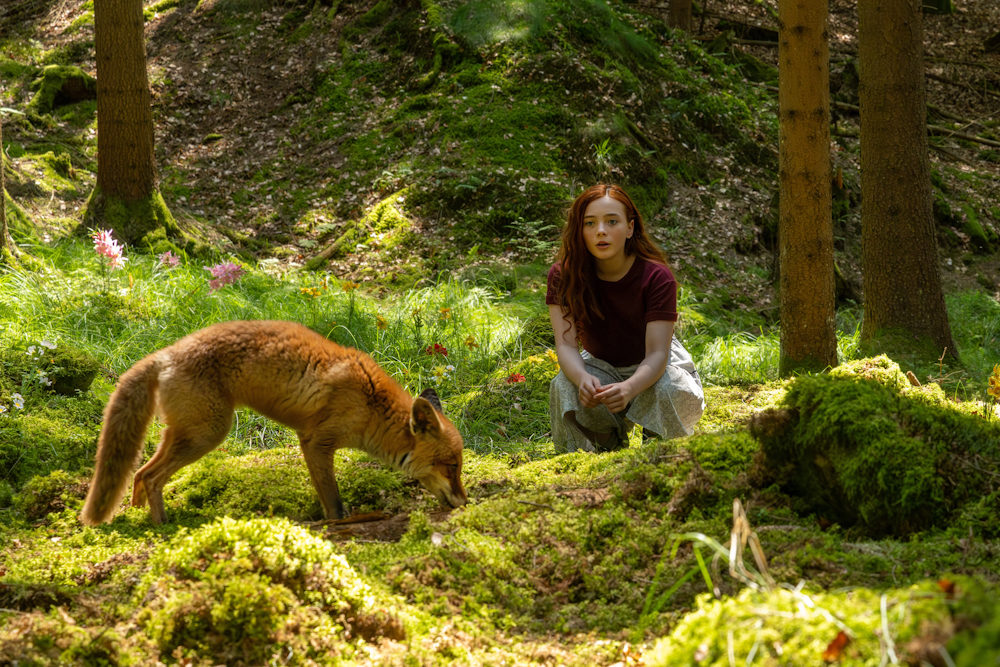 Увеличить изображение Кадр из фильма