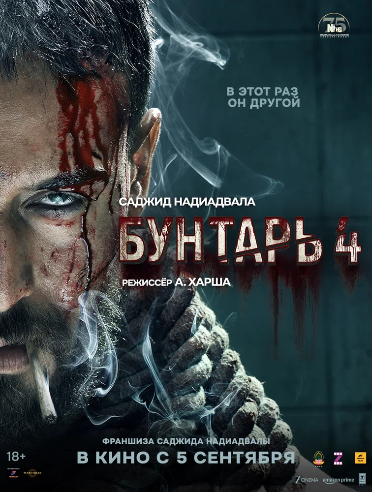 Бунтарь 4 / Baaghi 4