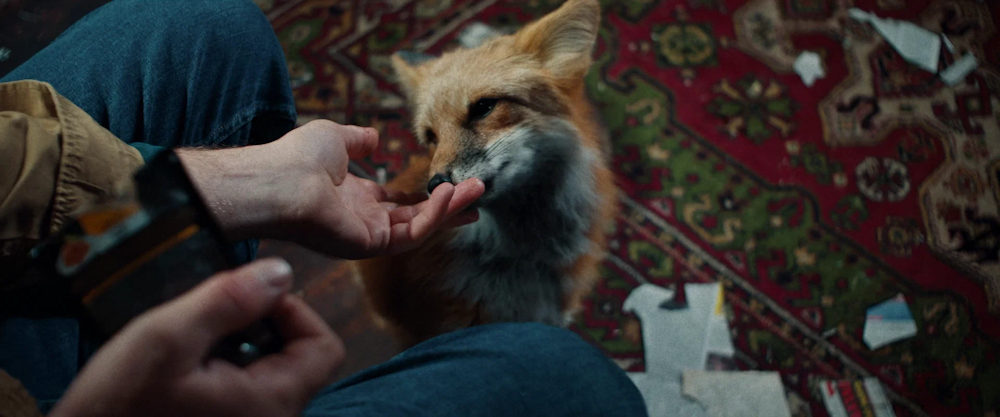 Увеличить изображение Кадр из фильма