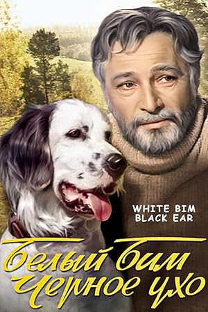 Белый Бим Черное ухо
