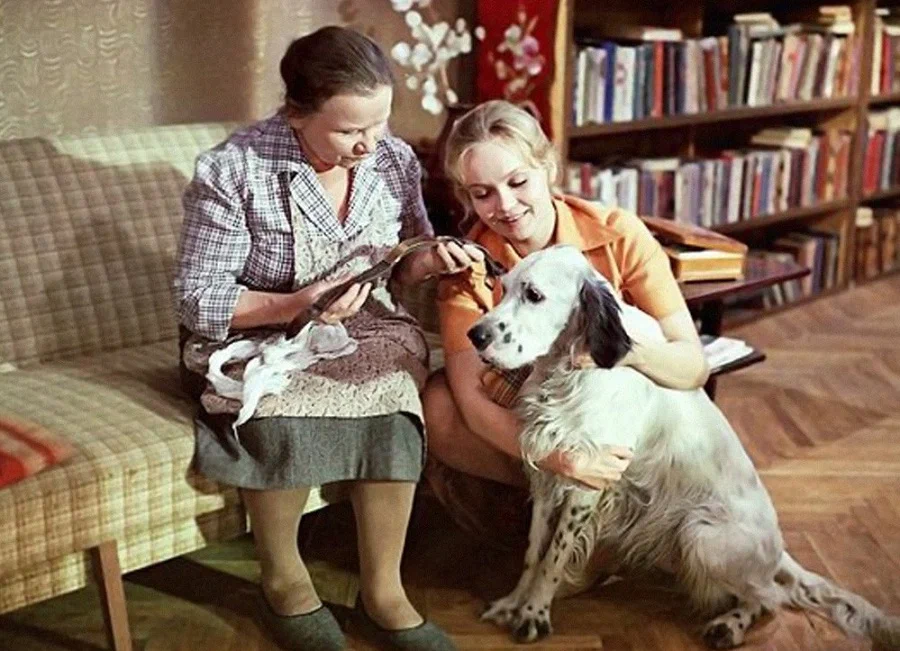 Сцена из фильма Белый Бим Черное ухо Сцена из фильма Белый Бим Черное ухо