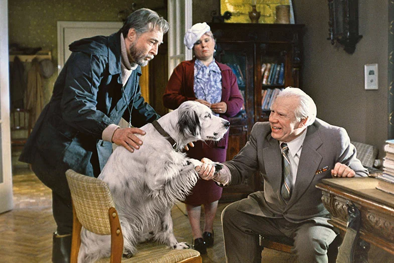 Сцена из фильма Белый Бим Черное ухо Сцена из фильма Белый Бим Черное ухо