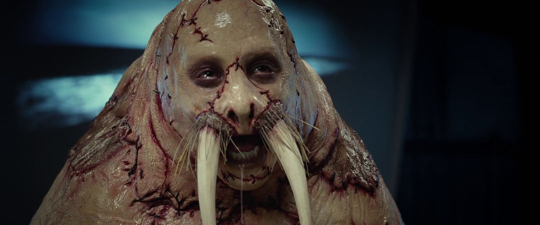 Кадр из фильма Бивень / Tusk Кадр из фильма Бивень / Tusk