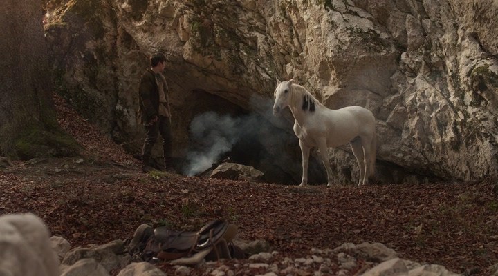 Сцена из фильма Сердце дракона: Возмездие / Dragonheart Vengeance Сцена из фильма Сердце дракона: Возмездие / Dragonheart Vengeance