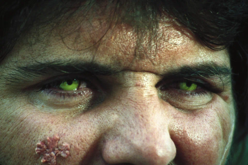 Кадр из фильма Тролль 2 / Troll 2 Кадр из фильма Тролль 2 / Troll 2