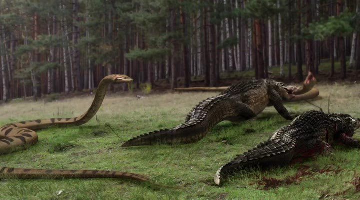 Кадр из фильма Озеро страха: Анаконда / Lake Placid vs. Anaconda Кадр из фильма Озеро страха: Анаконда / Lake Placid vs. Anaconda