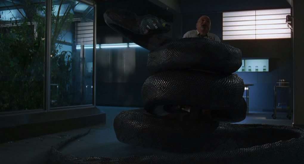 Сцена из фильма Анаконда 3: Цена эксперимента (Потомство) / Anaconda III: The Offspring Сцена из фильма Анаконда 3: Цена эксперимента (Потомство) / Anaconda III: The Offspring