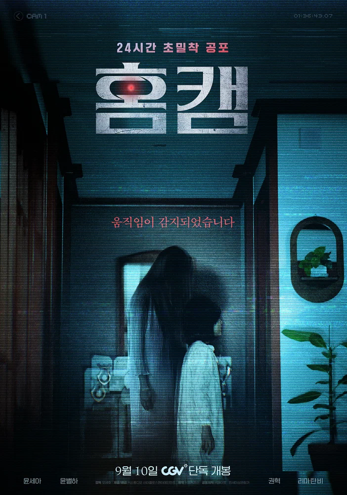 Постер к фильму Домашняя камера / Homkaem