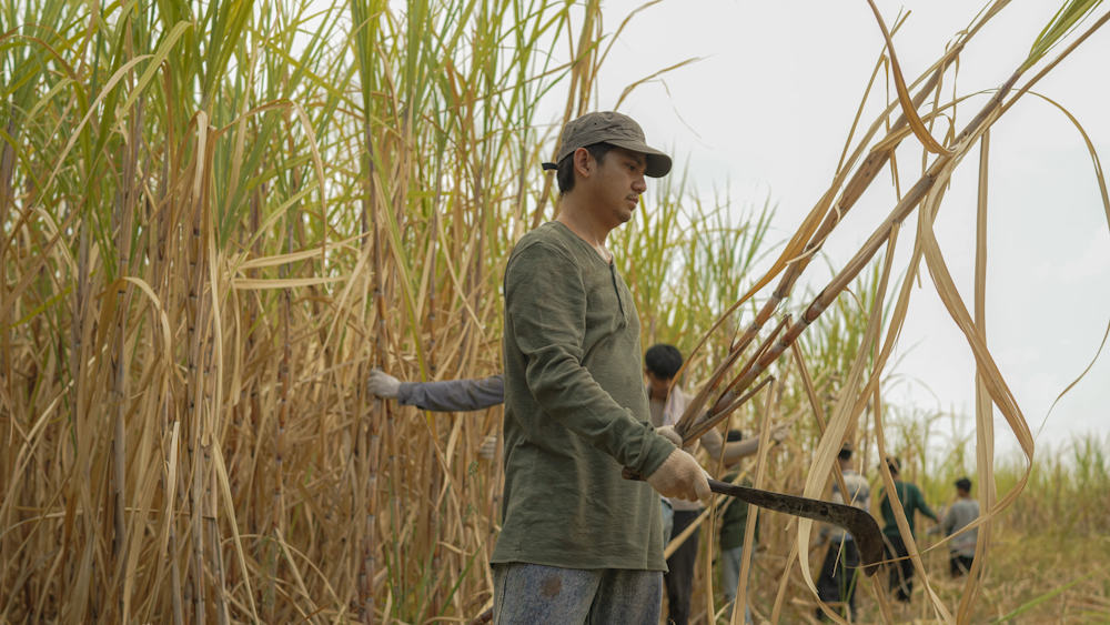 Кадр из фильма Сахарная фабрика / Pabrik Gula Кадр из фильма Сахарная фабрика / Pabrik Gula