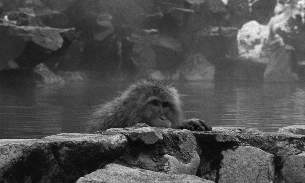 Кадр из фильма Гранд тур / Grand Tour Кадр из фильма Гранд тур / Grand Tour