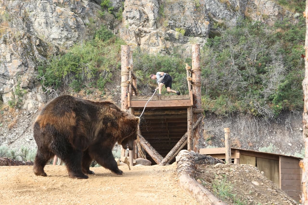 Сцена из фильма Человек против медведя / Man vs Bear Сцена из фильма Человек против медведя / Man vs Bear