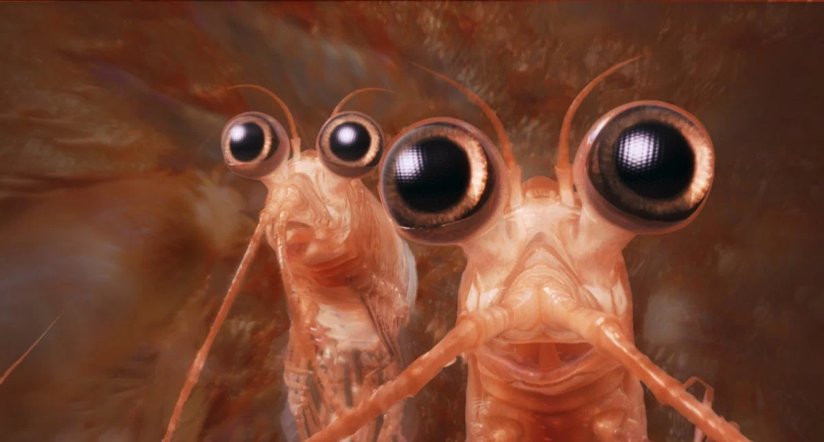 Кадр из фильма Делай ноги 2 / Happy Feet Two Кадр из фильма Делай ноги 2 / Happy Feet Two