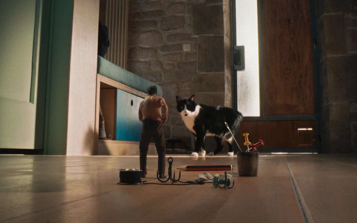 Кадр из фильма Дорогая, я уменьшаюсь / L'homme qui rétrécit Кадр из фильма Дорогая, я уменьшаюсь / L'homme qui rétrécit