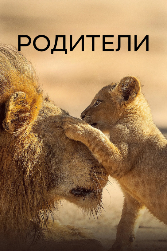 Родители / Parenthood