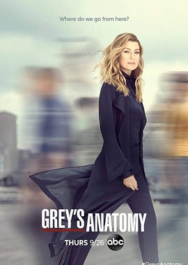 Анатомия страсти / Grey's Anatomy (2007)