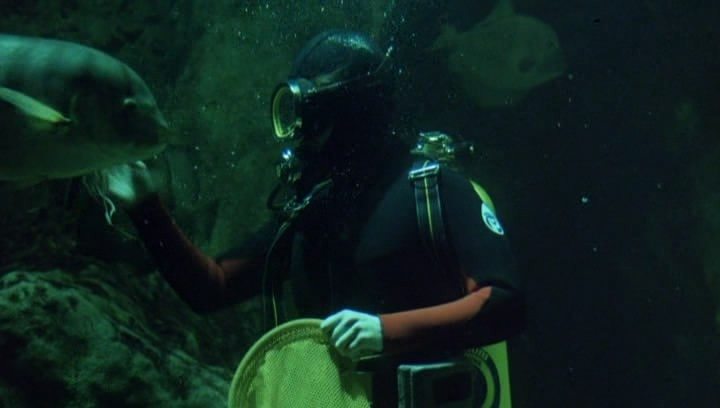 Сцена из фильма Вечерняя школа / Night School Сцена из фильма Вечерняя школа / Night School