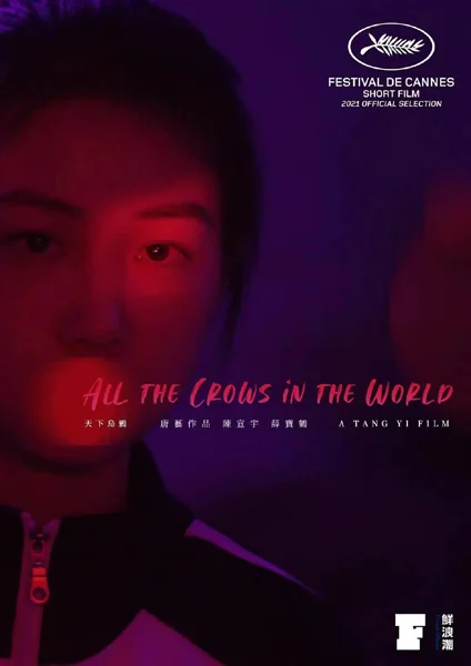 Постер к фильму Все вороны мира / Tian xia wu ya