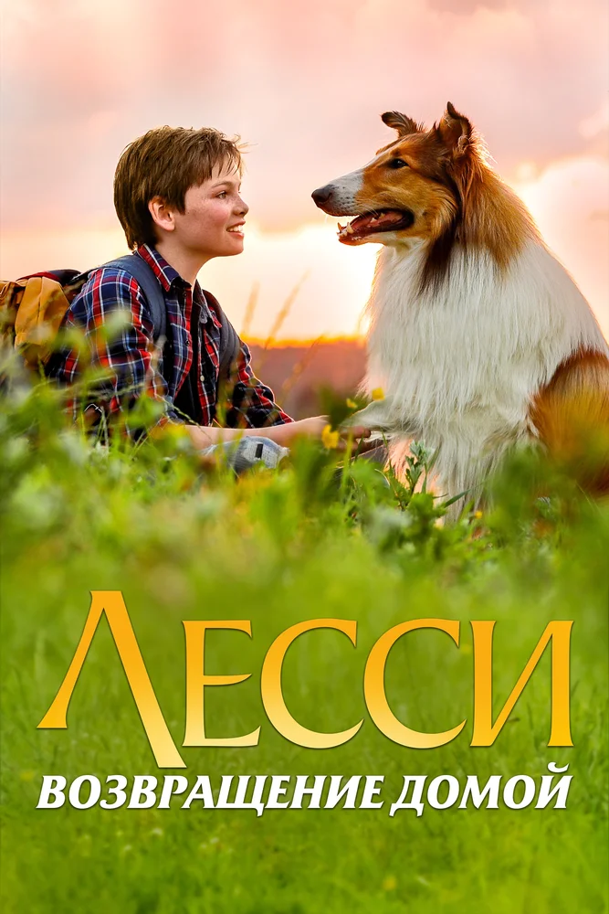 Постер к фильму Лэсси. Возвращение домой / Lassie - Eine abenteuerliche Reise
