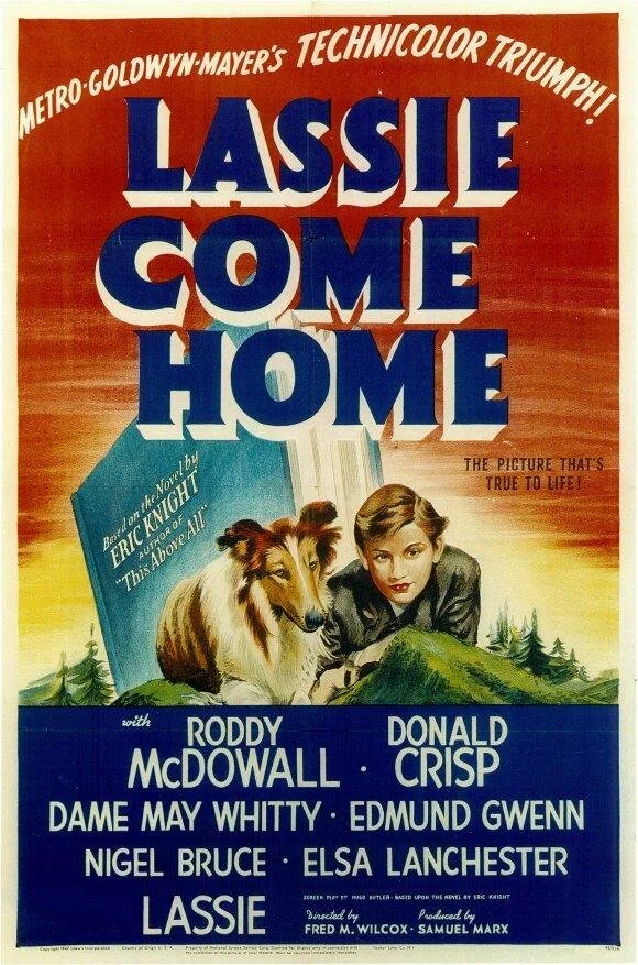 Постер к фильму Лэсси возвращается домой / Lassie Come Home