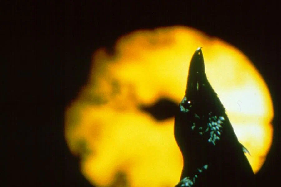 Сцена из фильма Ворон 3: Спасение / The Crow: Salvation Сцена из фильма Ворон 3: Спасение / The Crow: Salvation