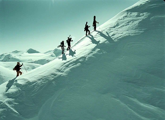 Сцена из фильма Остаться в живых / Fritt vilt Сцена из фильма Остаться в живых / Fritt vilt