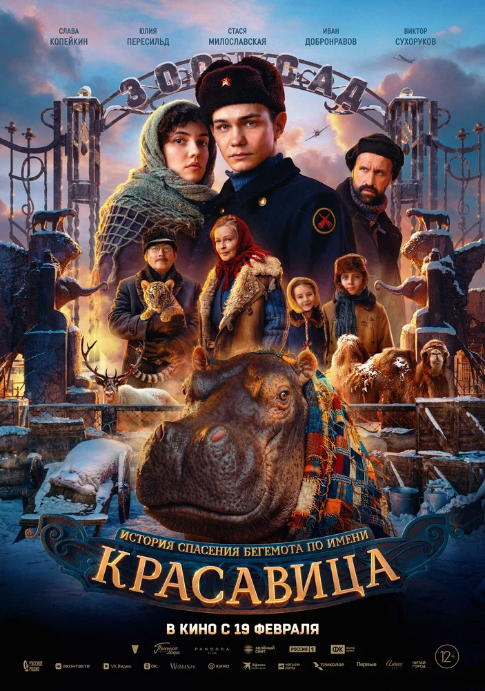 Постер к фильму Красавица