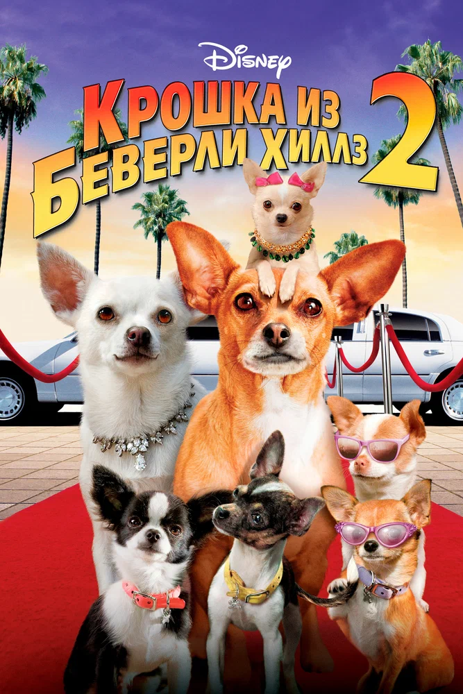 Постер к фильму Крошка из Беверли-Хиллз 2 / Beverly Hills Chihuahua 2
