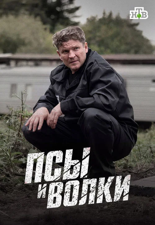 Псы и волки