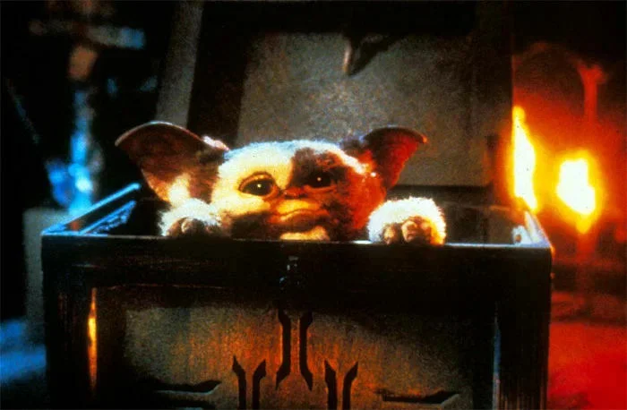 Сцена из фильма Гремлины / Gremlins Сцена из фильма Гремлины / Gremlins