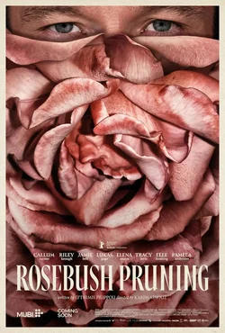 Подрезка кустов роз / Rosebush Pruning (2026)