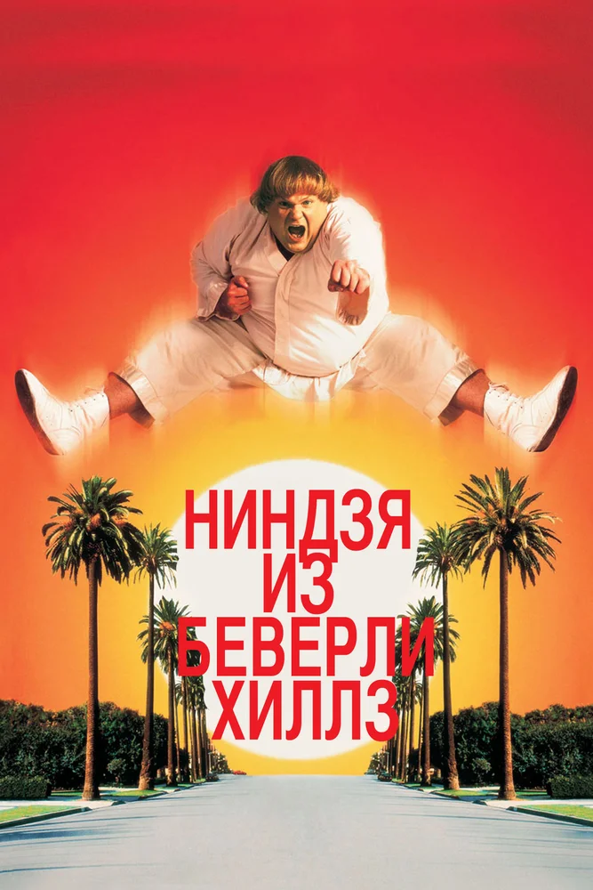Постер к фильму Ниндзя из Беверли Хиллз / Beverly Hills Ninja