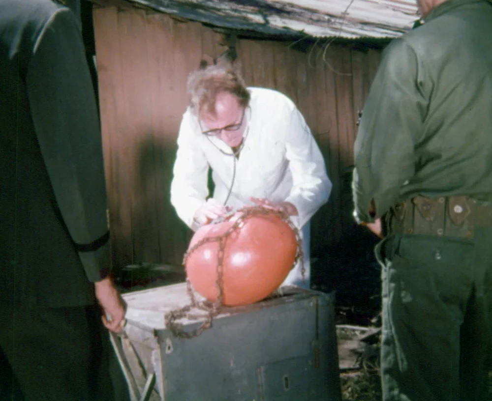 Сцена из фильма Нападение помидоров-убийц / Attack of the Killer Tomatoes! Сцена из фильма Нападение помидоров-убийц / Attack of the Killer Tomatoes!