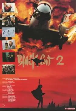 Чёрная кошка 2 / Hei mao II (1992)