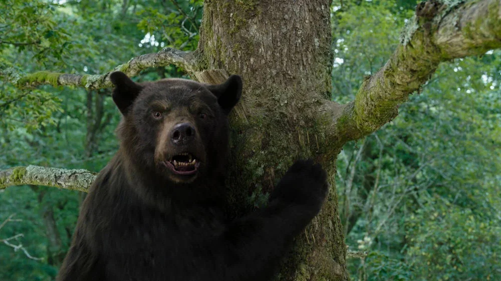 Кадр из фильма Кокаиновый медведь / Cocaine Bear Кадр из фильма Кокаиновый медведь / Cocaine Bear