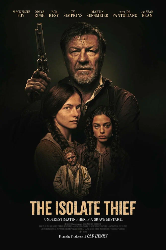 Постер к фильму Вор-одиночка / The Isolate Thief