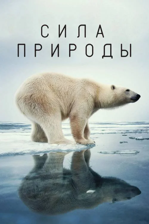 Сила природы / Force of Nature
